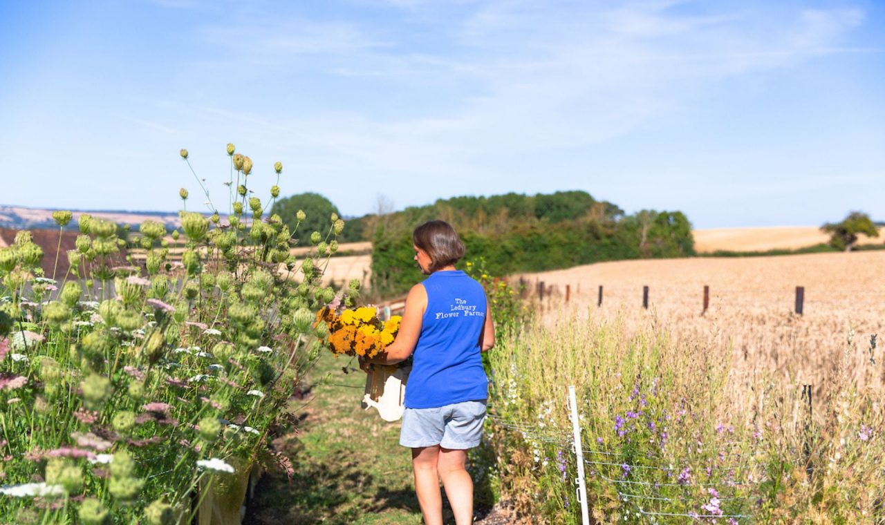 Tours usually last for two hours.
